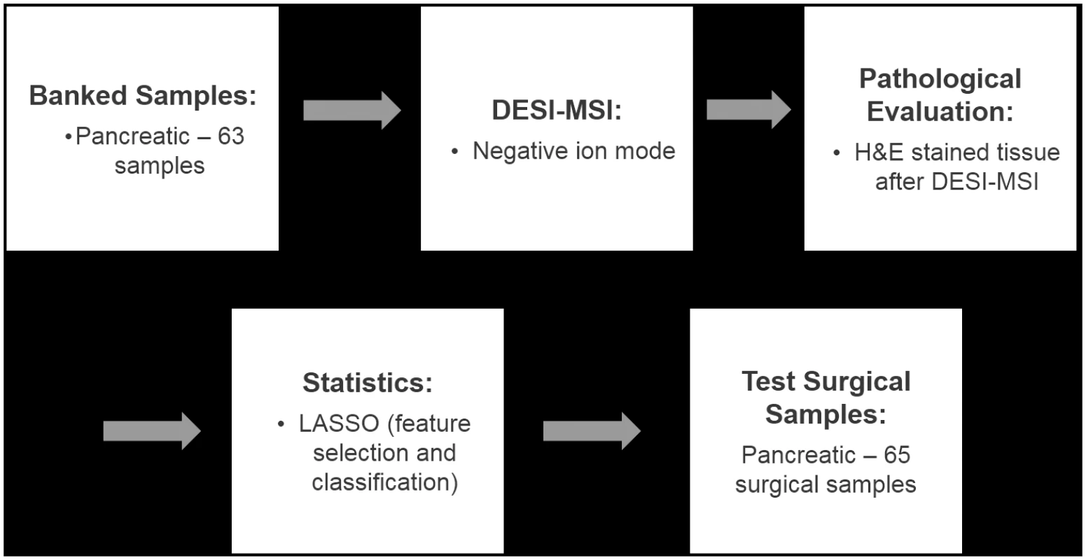 Flowchart summarizing the study performed.