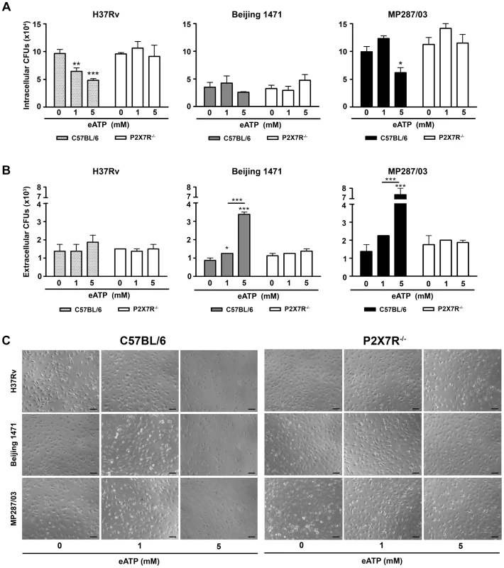 Effects of eATP on mycobacterial killing or release by C57BL/6 and P2X7R<sup>−/−</sup> BMDMs.
