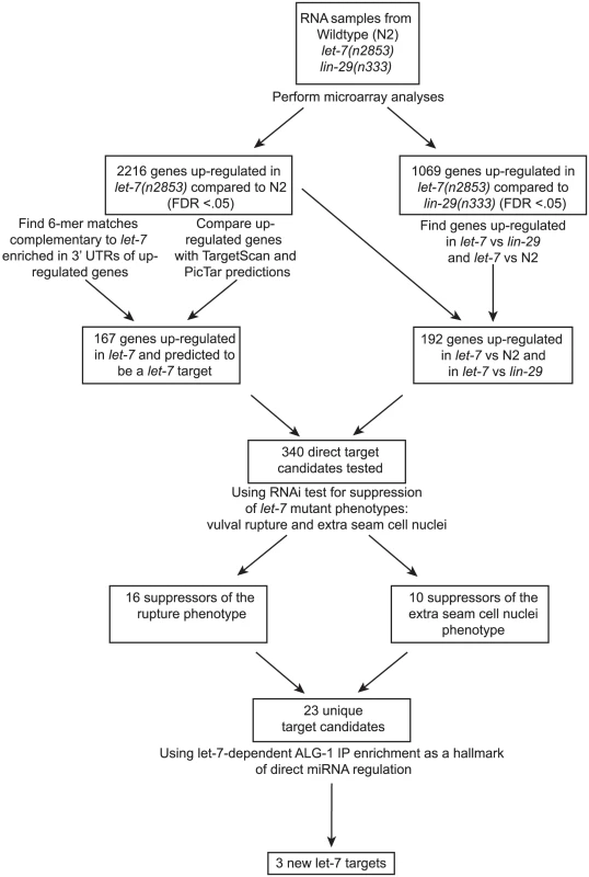 Summary of experimental design and results.