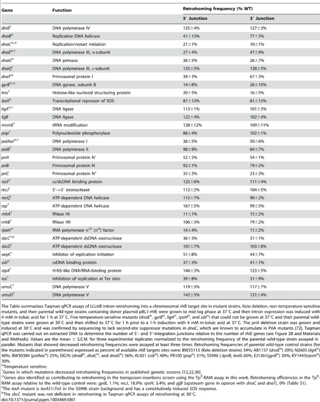 Taqman qPCR assays of retrohoming in notable <i>E. coli</i> mutants.
