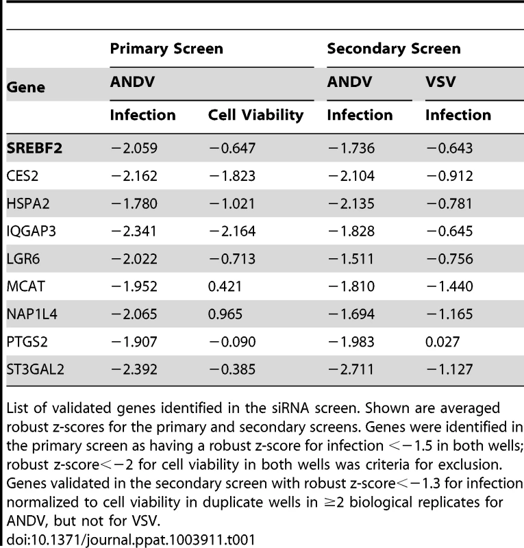 List of candidate genes identified during siRNA screen.