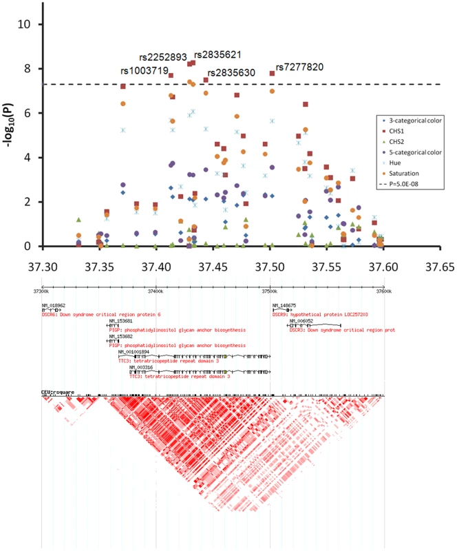 Chromosome 21q22.13 locus associated with quantitative eye color in the Rotterdam Study (RS123).