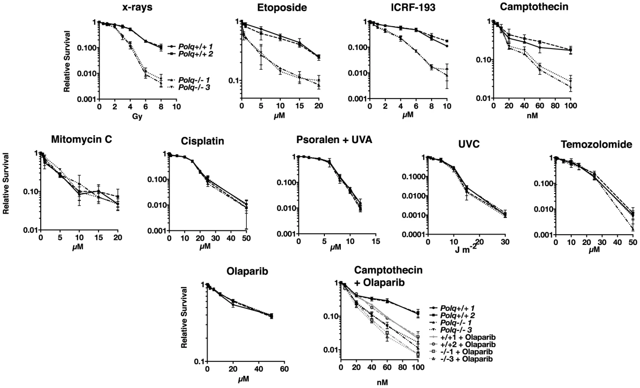 Hypersensitivity of <i>Polq<sup>−/−</sup></i> bone marrow stromal cells to DNA strand-breaking agents.