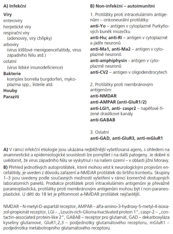 Diferenciální diagnostika encefalitid [5,6].
