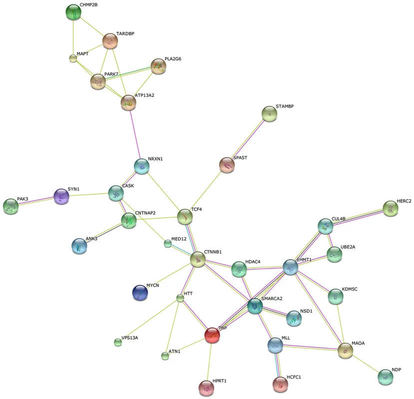 Human aggression disease interactome.