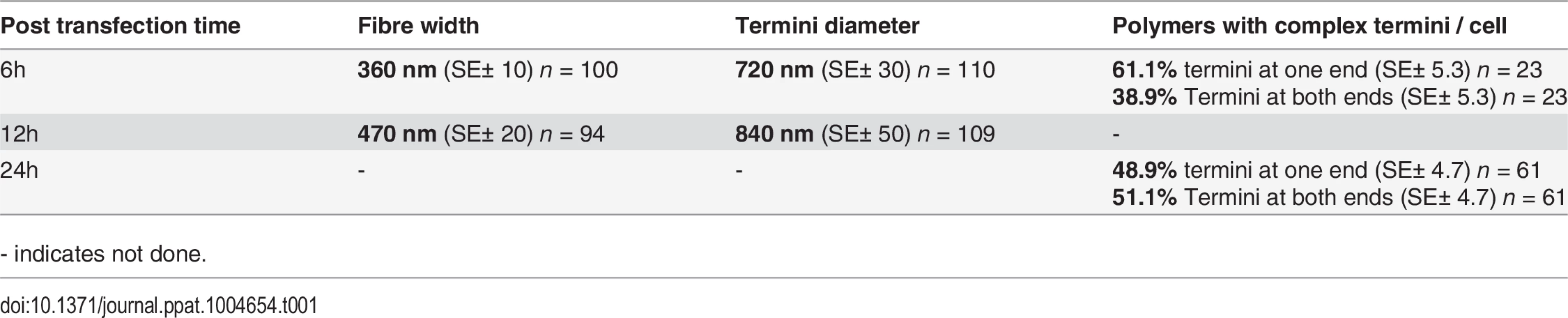 Mean termini diameter, fibre width, and termini formation of untagged BILBO1 after expression in U-2 OS cells.