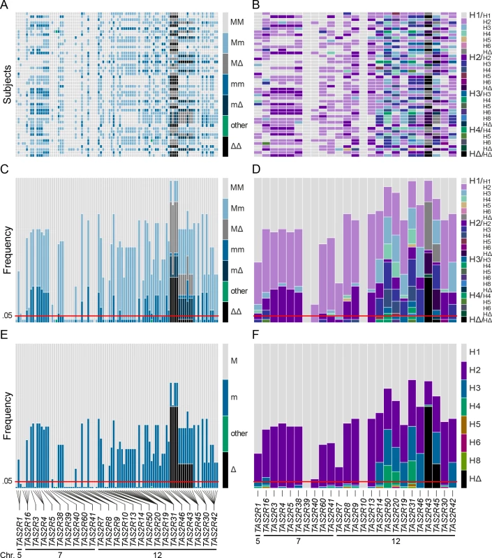 Coding region SNPs, genotypes and haplotypes of the 25 <i>TAS2R</i> genes.
