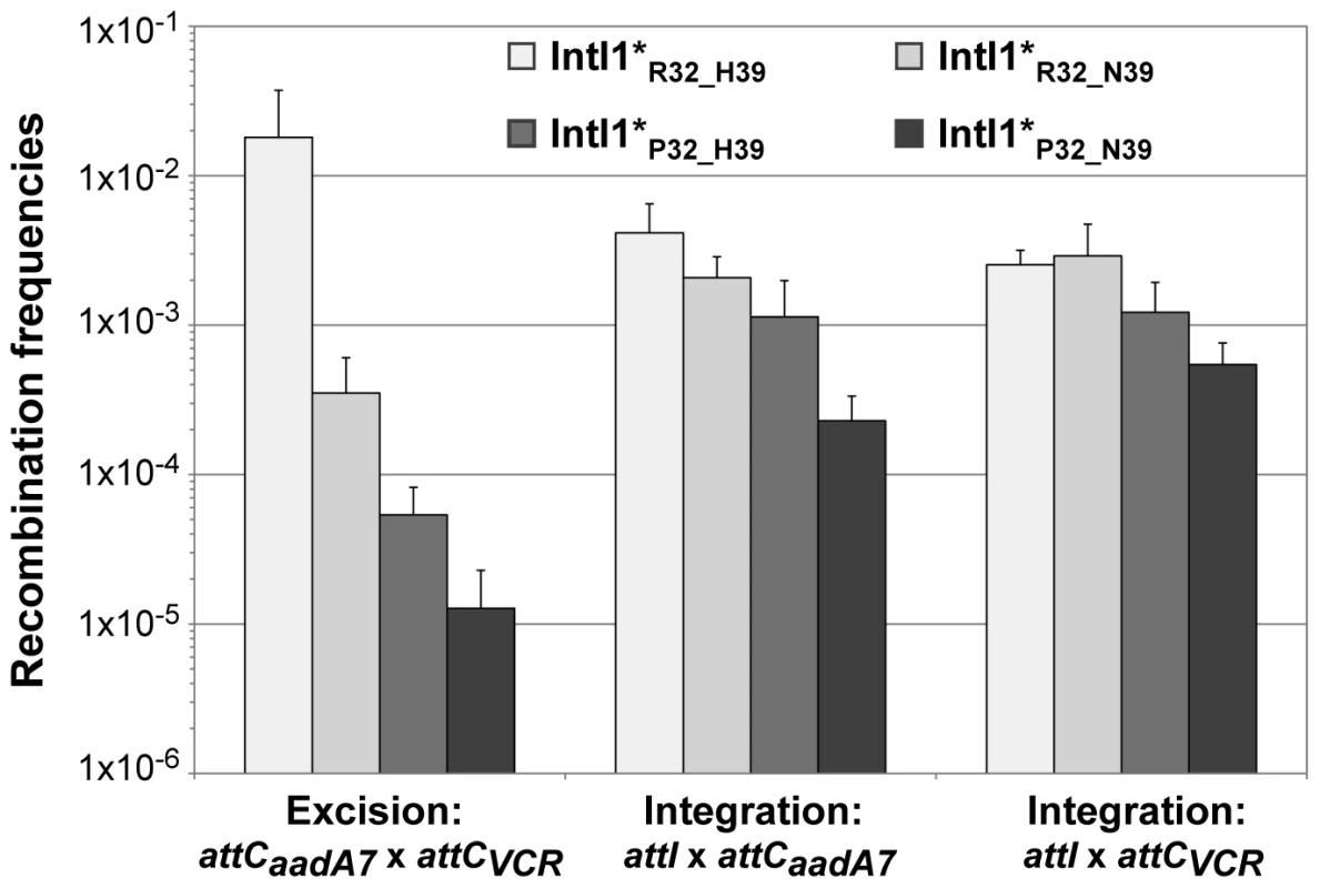 Recombination activities of the main IntI1 variants.