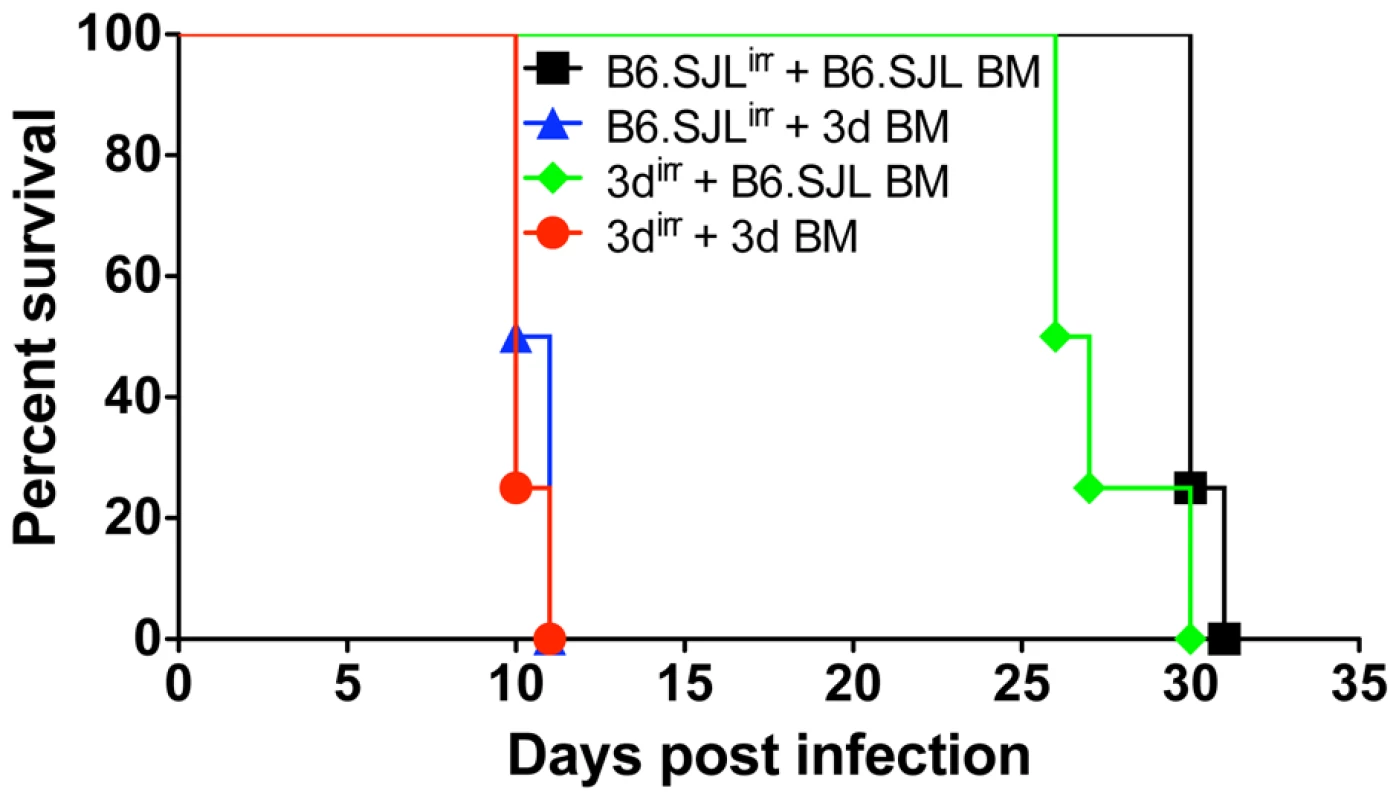 Cells from hemopoietic compartment bearing the <i>UNC93B1</i> mutation are responsible for enhanced susceptibility of 3d mice to <i>T. gondii</i> infection.