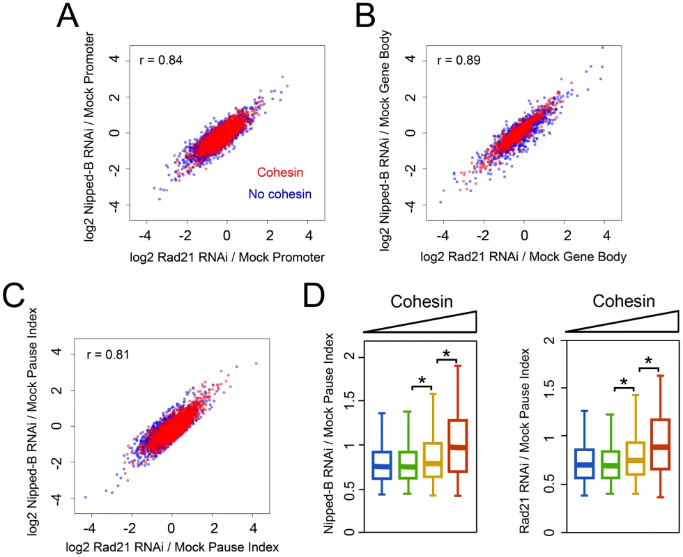 Cohesin and kollerin have very similar effects on the levels of transcriptionally engaged Pol II and promoter-proximal pausing.