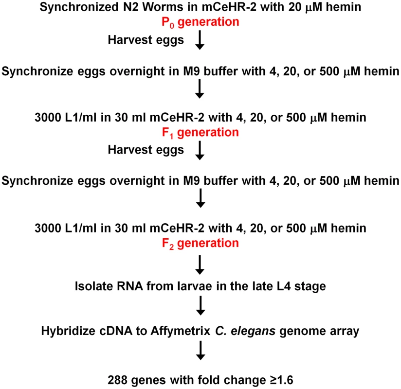 Profiling strategy for analysis of heme-responsive genes.
