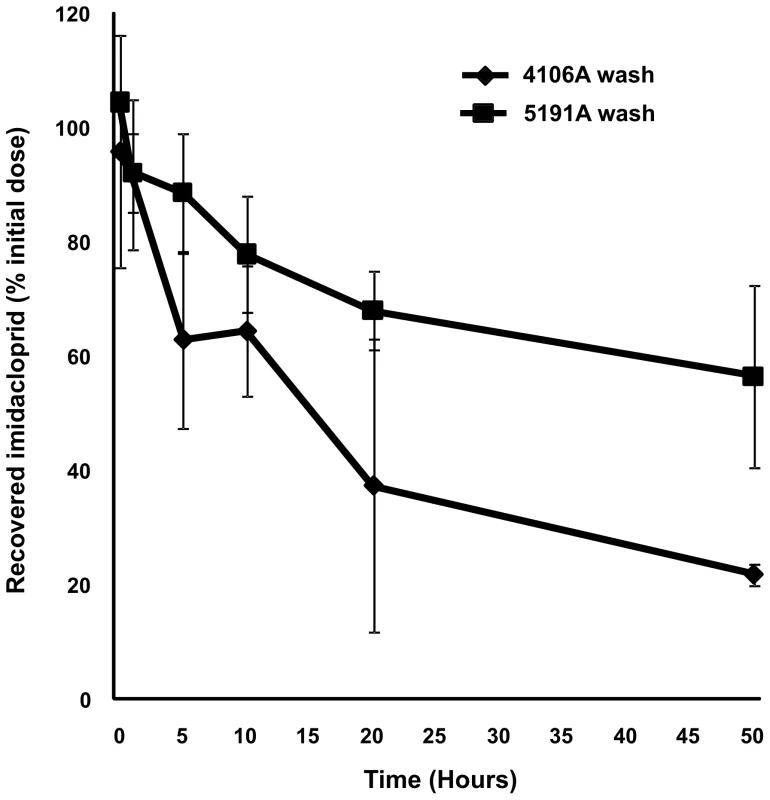 Result of <i>in vivo</i> penetration assay using [<sup>3</sup>H] imidacloprid on the 4106A (susceptible) and 5191A (resistant) clones.
