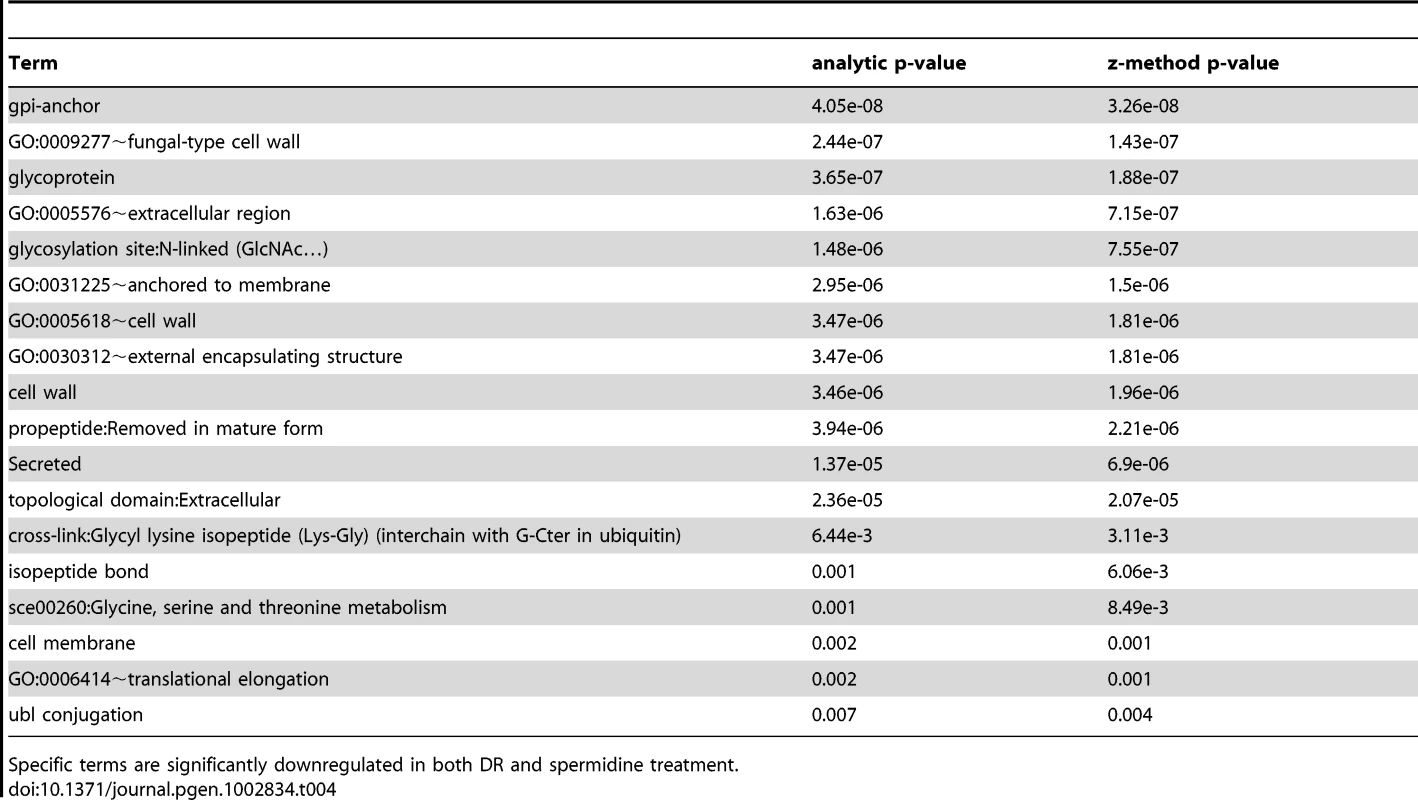 Terms associated with DR and spermidine downregulated genes.
