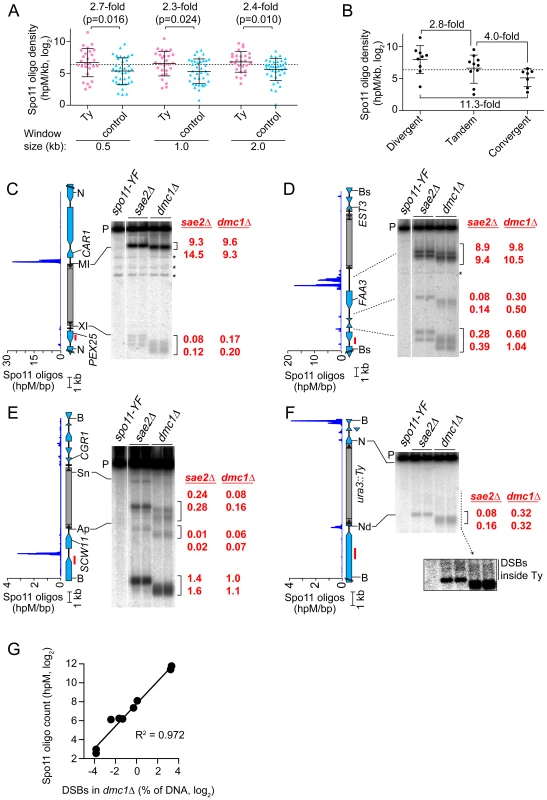 Meiotic DSBs in and around Ty elements.