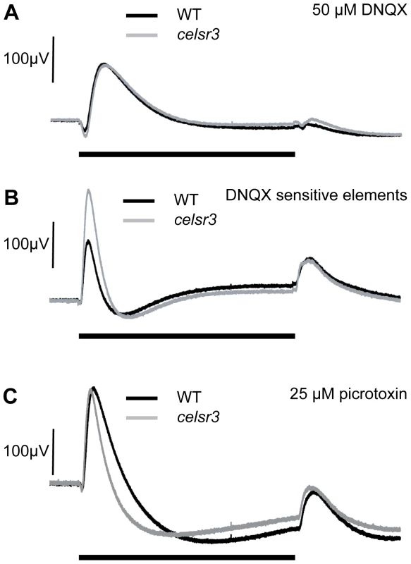 ERGs at 6 dpf in the presence of drugs suggest alterations in GABAergic signaling.