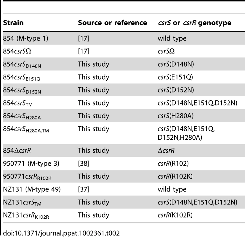 GAS strains used in this study.