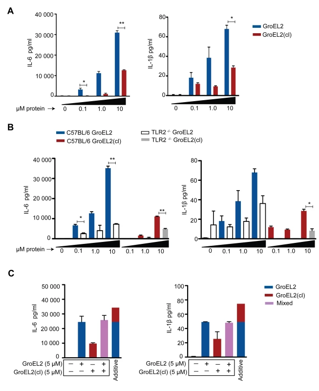 Differential stimulation of proinflammatory cytokine production from macrophages by GroEL2 and GroEL2(cl).