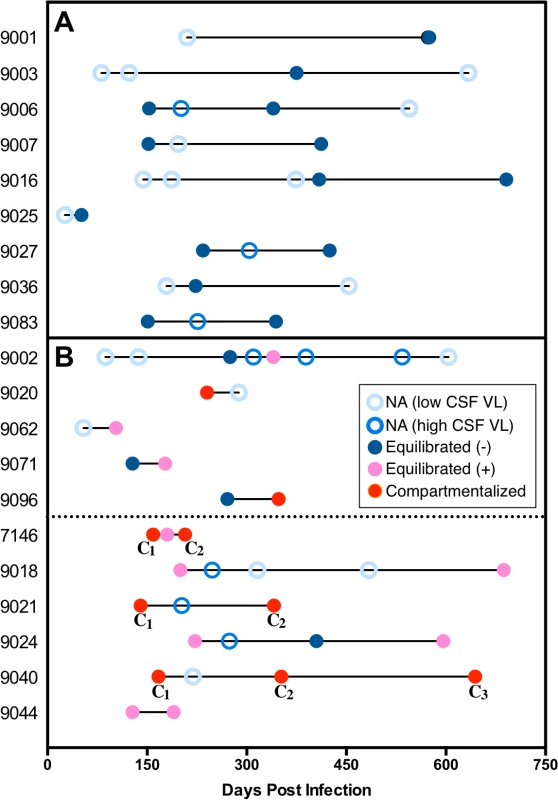 An assessment of the viral populations in the two compartments longitudinally.
