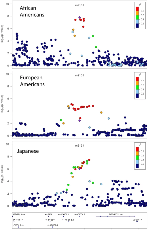 Population-specific −log P values for total WBC association at the chromosome 4q13 <i>CXCL2</i> locus.