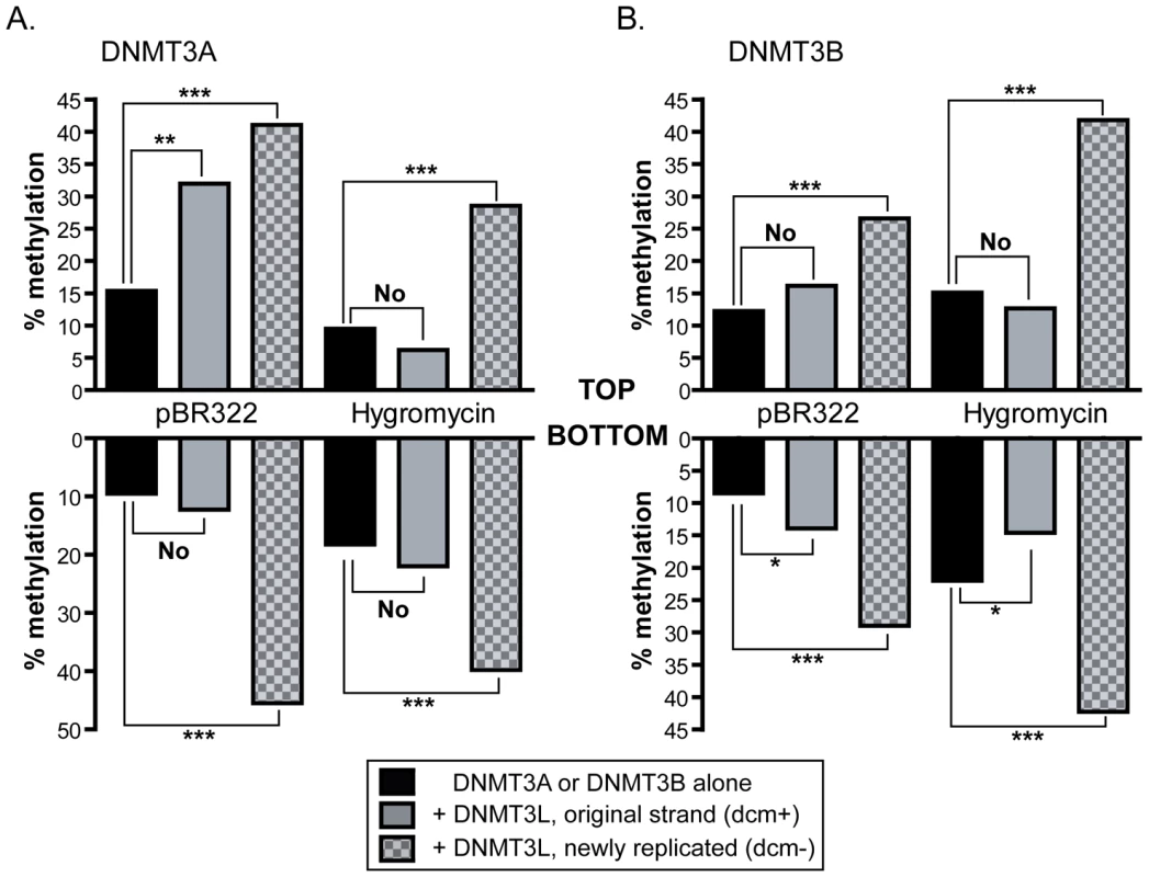 Stimulation by DNMT3L is observed primarily on newly replicated DNA strands.