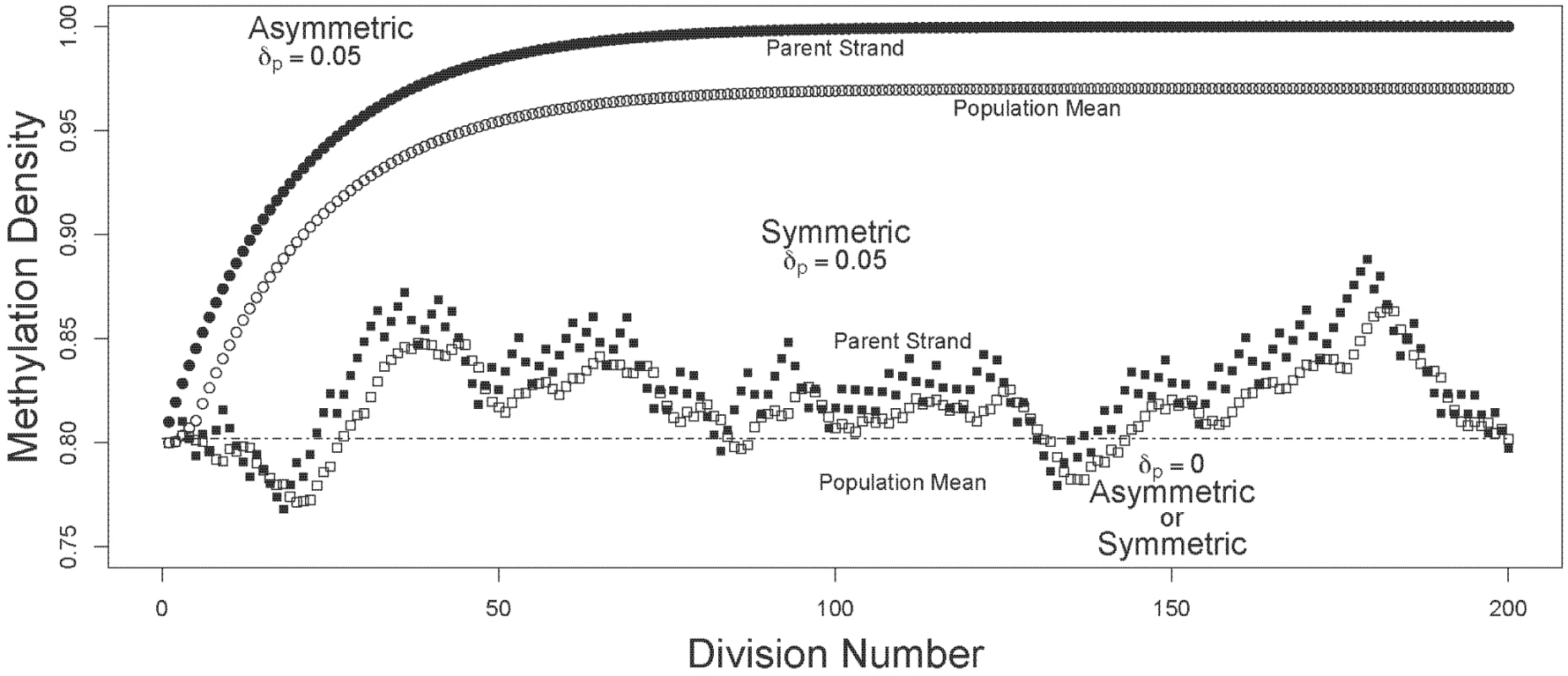 Trajectories of methylation densities under asymmetric or symmetric strand segregation, with high initial methylation density.