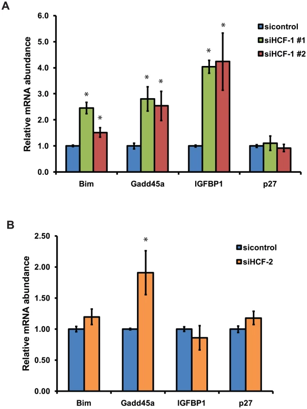 Mammalian HCF-1 and HCF-2 regulate the expression of FOXO target genes.