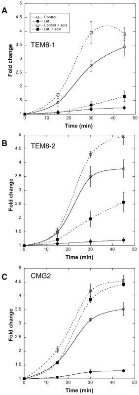 Receptor dependent actin requirements for PA heptamerization and endocytosis.