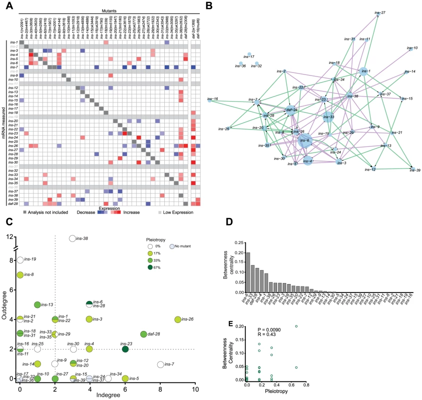 The ILP regulatory network.
