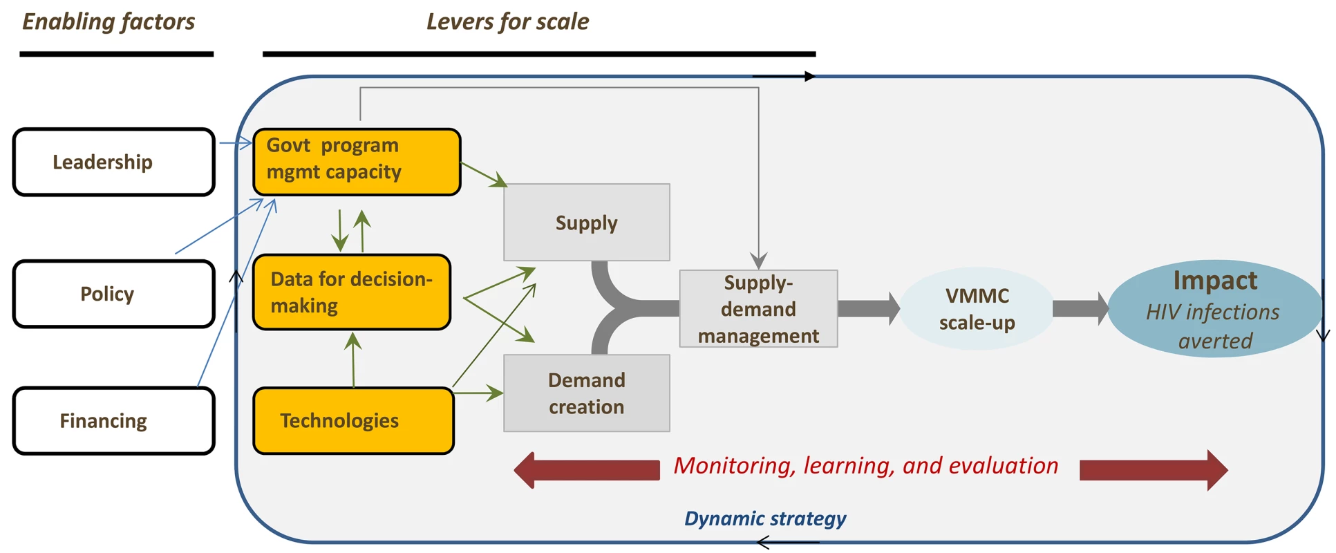 Enabling factors and levers to achieve scale and impact for the voluntary medical male circumcision program.