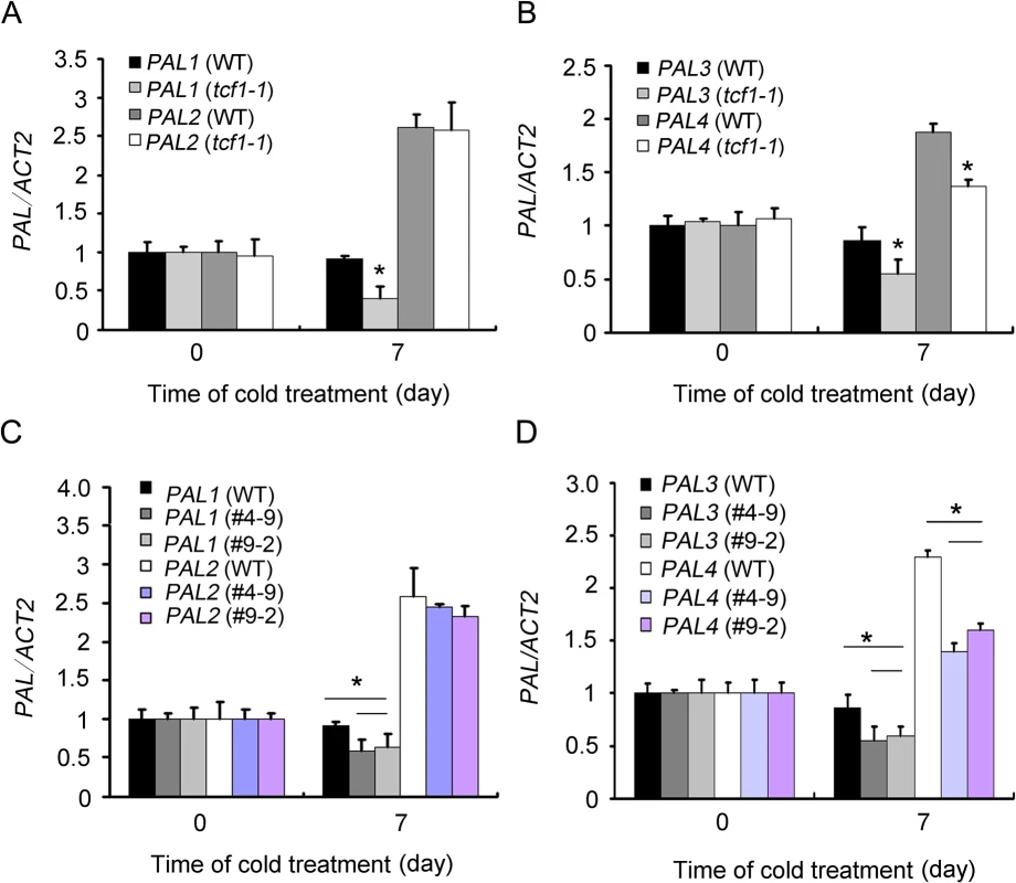 Expression analysis of <i>PAL</i> genes in <i>tcf1</i> and <i>amiRNA-BCB</i> mutants.