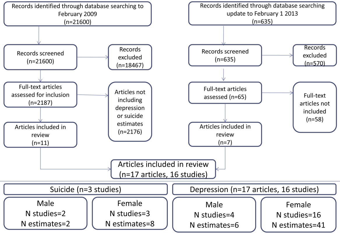 Flow of studies through the review.