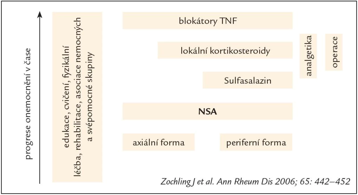 Schematické znázornění strategie léčby AS.