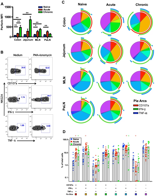 Comparison of NKG2A<sup>+</sup>NK cell functions within naïve, acute and chronically SIV-infected macaques.