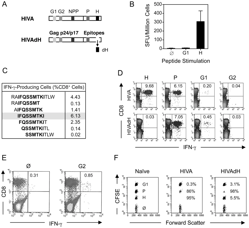 Enhancement of subdominant responses by deletion of immunodominant epitope.