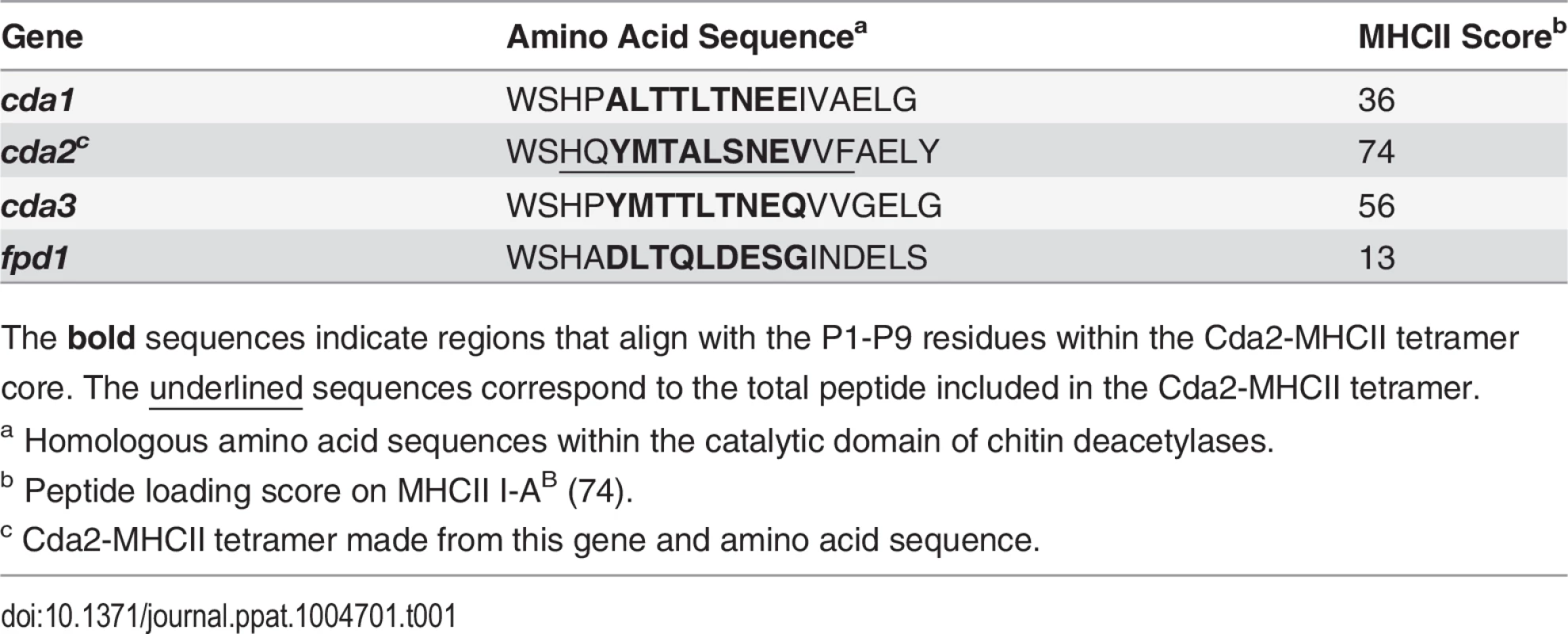 CD4+ T cell Cda2-MHCII tetramer peptide sequence and putative cross reactive peptides from other <i>C. neoformans</i> chitin deacetylases.