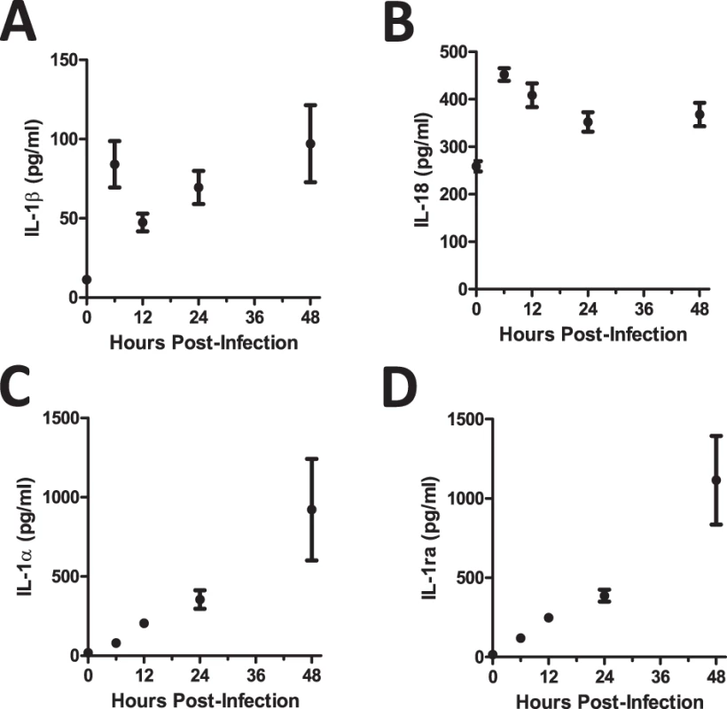 C57BL/6 mice show differential expression of IL-1α and IL-1ß after <i>A. fumigatus</i> infection.