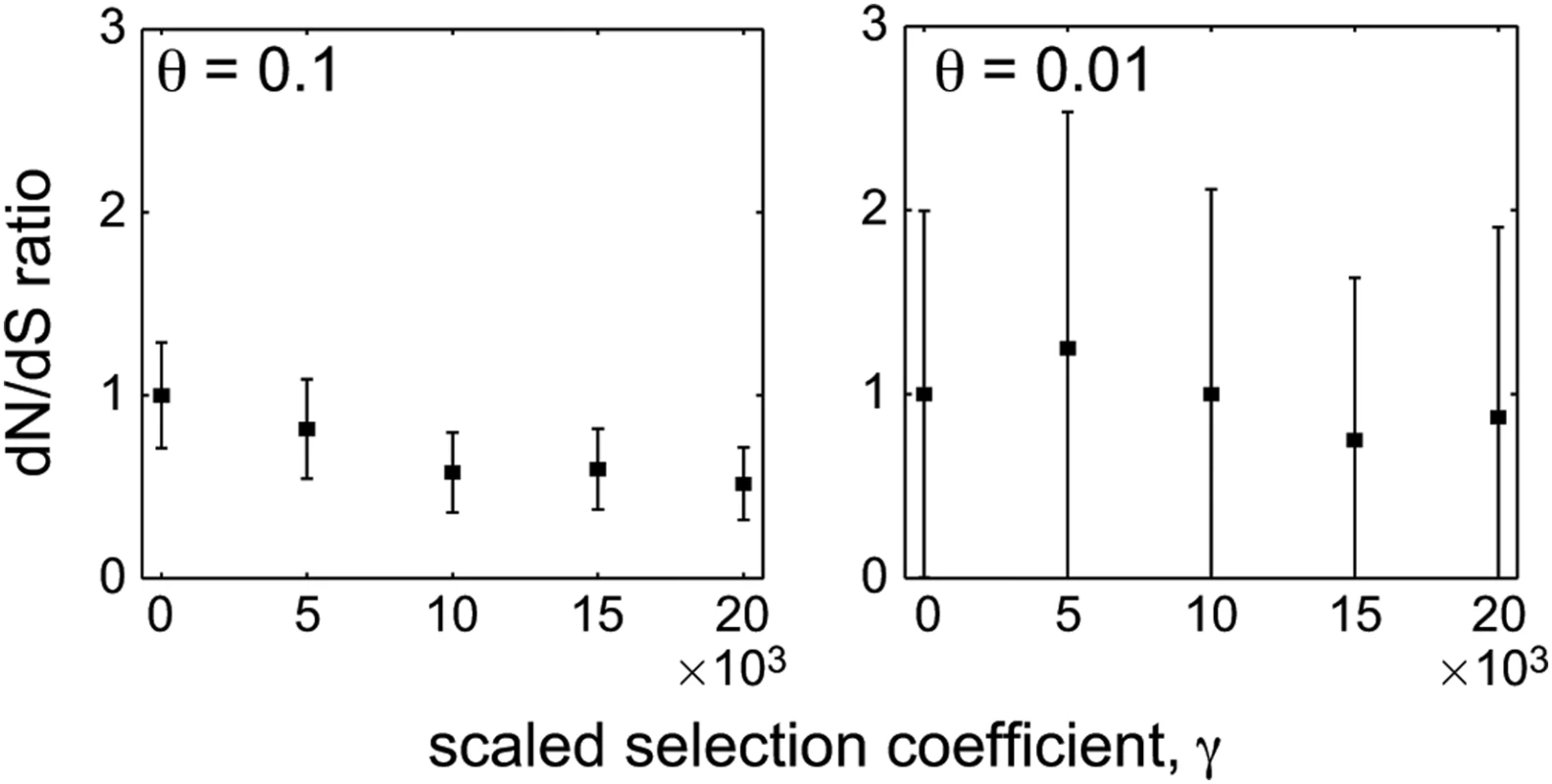 The behavior of the within-population dN/dS ratio for large <i>γ</i> in simulated Wright-Fisher populations.