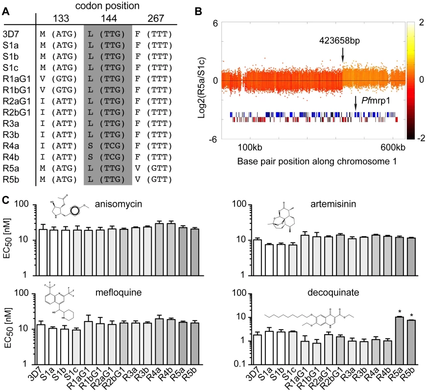 Genomic changes and drug sensitivities of atovaquone (ATQ)-selected clones.
