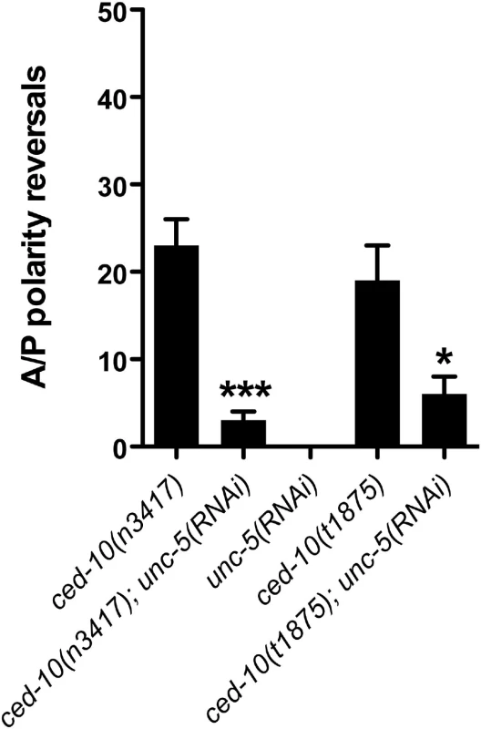 <i>ced-10</i> mutant phase 3 A/P polarity reversals are dependent on <i>unc-5</i>.