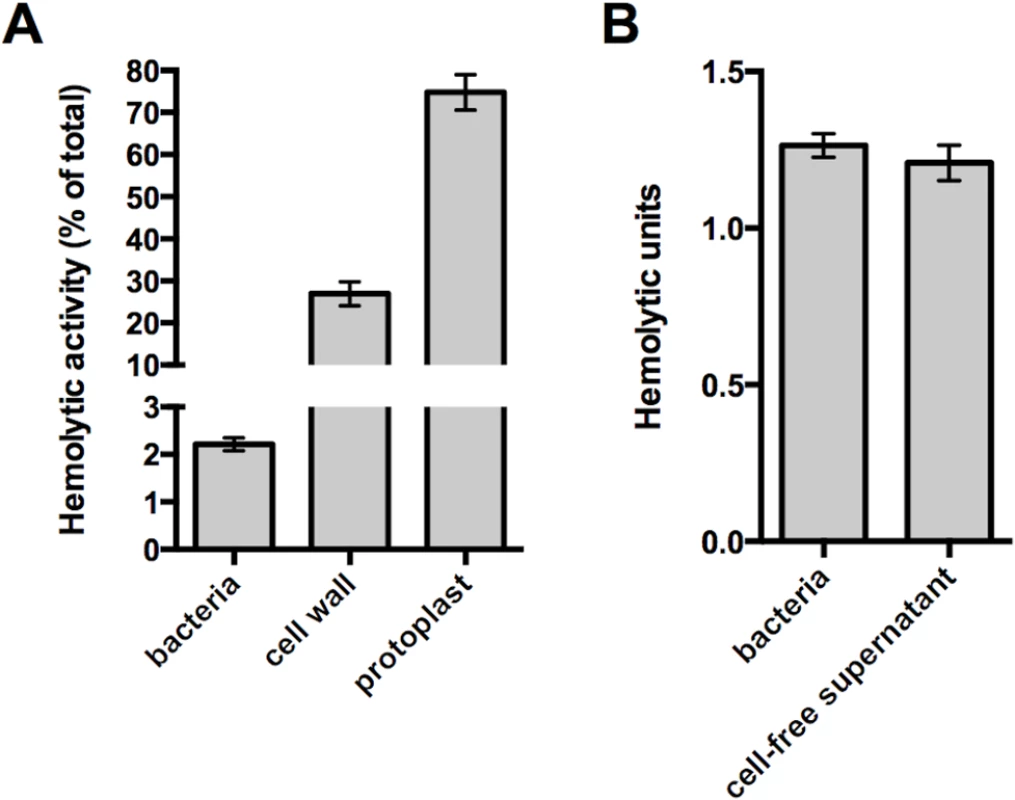 The native cell wall inhibits Ply activity and release.