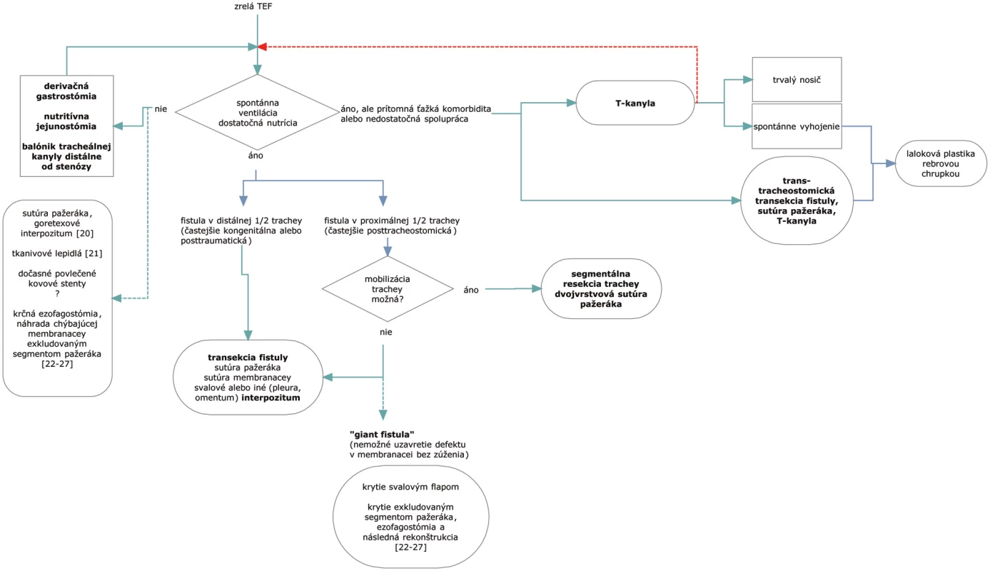 Algoritmus riešenia tracheoezofageálnej fistuly a možnosti alternatívnej liečby. Prerušované čiary predstavujú alternatívne postupy.
Fig. 1. Algorithm of the tracheoesophageal fistula management and alternative therapeutical options. The dashed lines represent alternative procedures