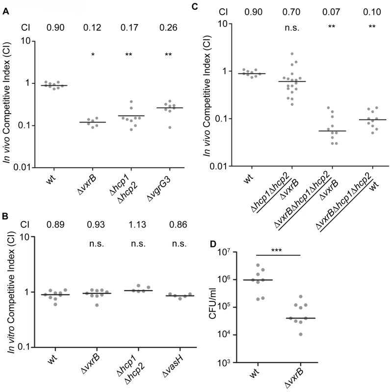 Analysis of the role of T6SS in colonization.