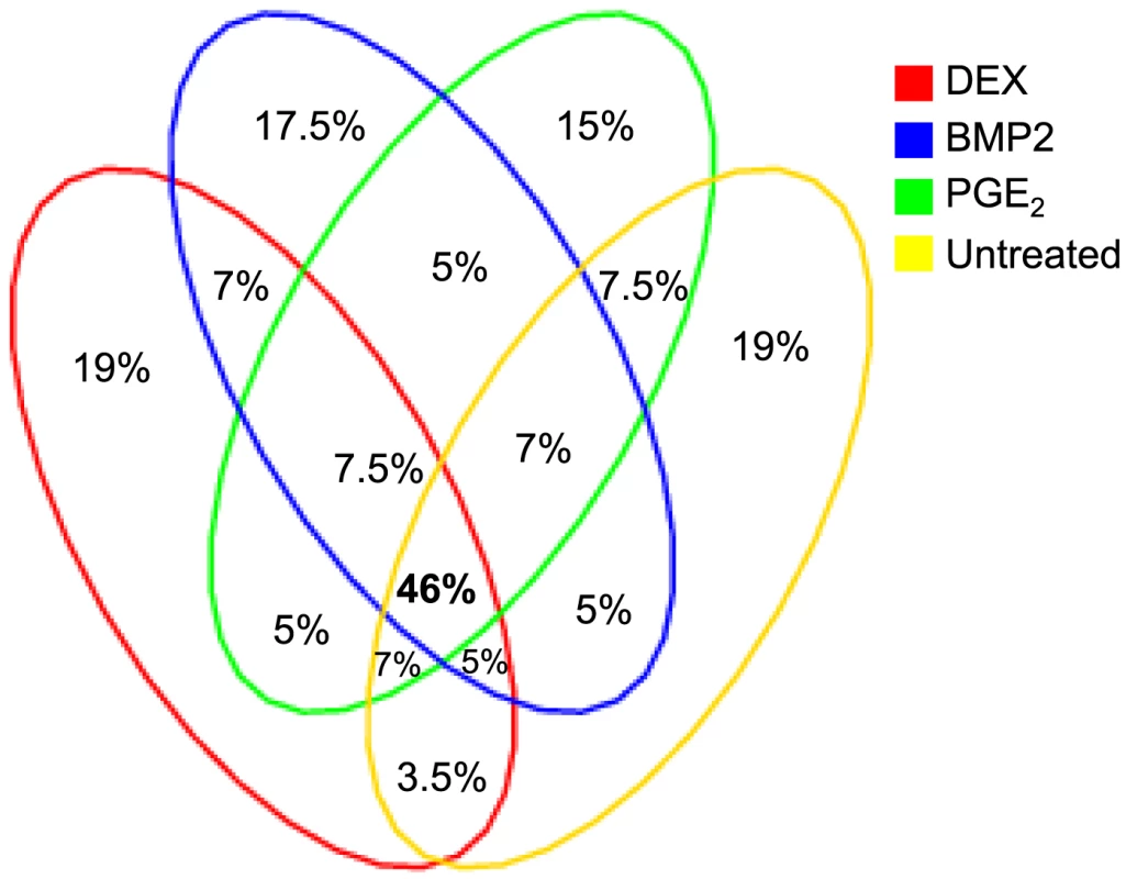 Overlap of significant cis-eQTLs across treatment.