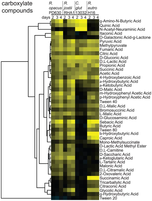 Screens of four bacterial species for growth on carboxylate compounds (organic acids).