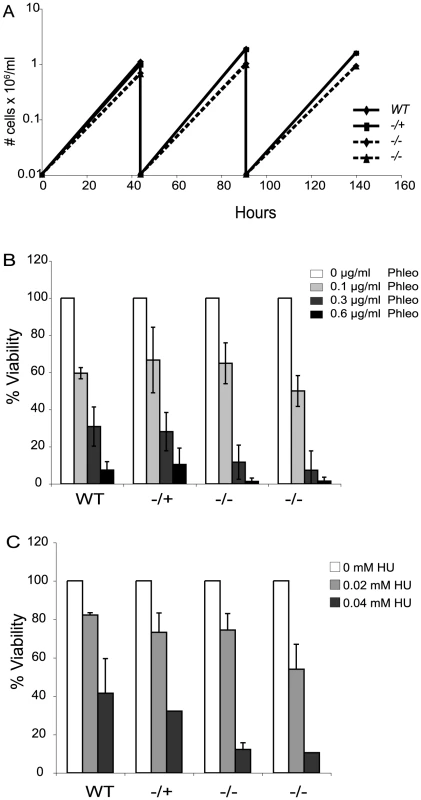 <i>Tbtopo3α</i> exhibits a minor growth defect and is sensitive to phleomycin and HU.