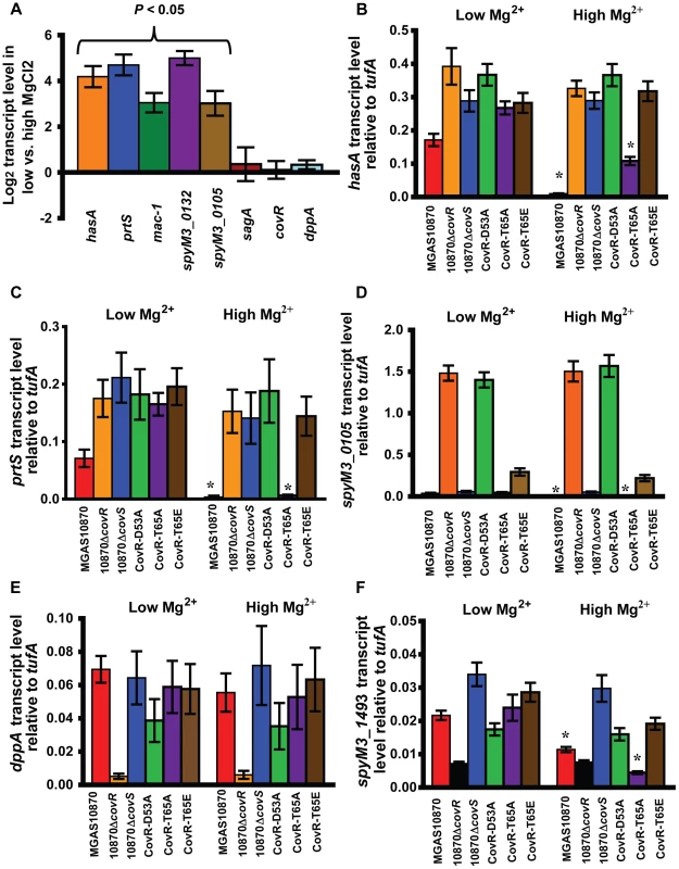 Strains MGAS10870 and CovR-T65A respond to changes in Mg<sup>2+</sup>.