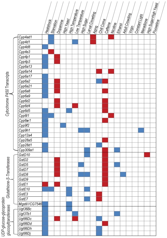 Class I phenotypically plastic transcripts associated with xenobiotic metabolism.