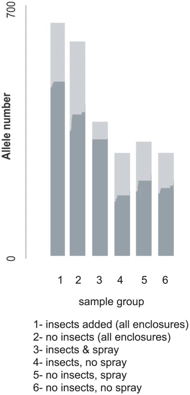 The allelic ancestry (entomopathogenic or non-pathogenic) of samples from experimentally defined isolate groups.