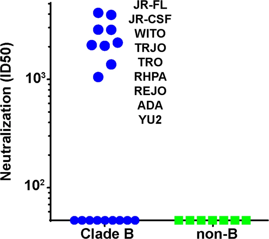 Serum 613 neutralization breadth of N197 knockout mutants.