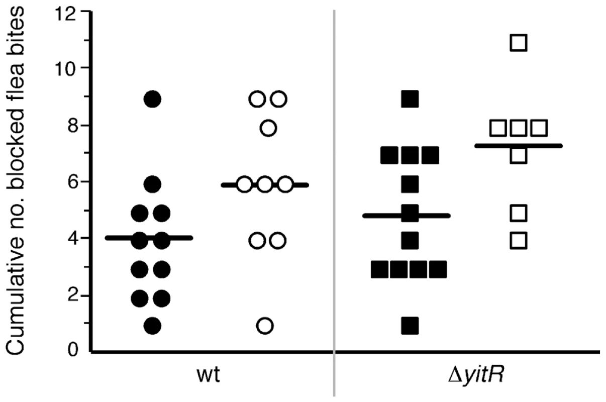 Mean and range of the cumulative number of blocked flea bites received by mice.
